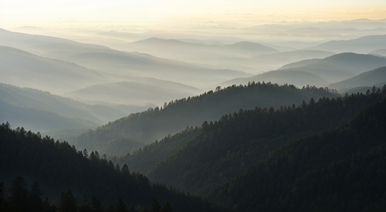 A misty mountain valley at dawn — immersive wellbeing built with care