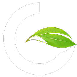 Greener Games