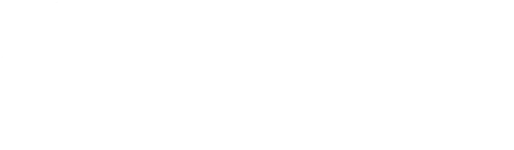 PICO logo
